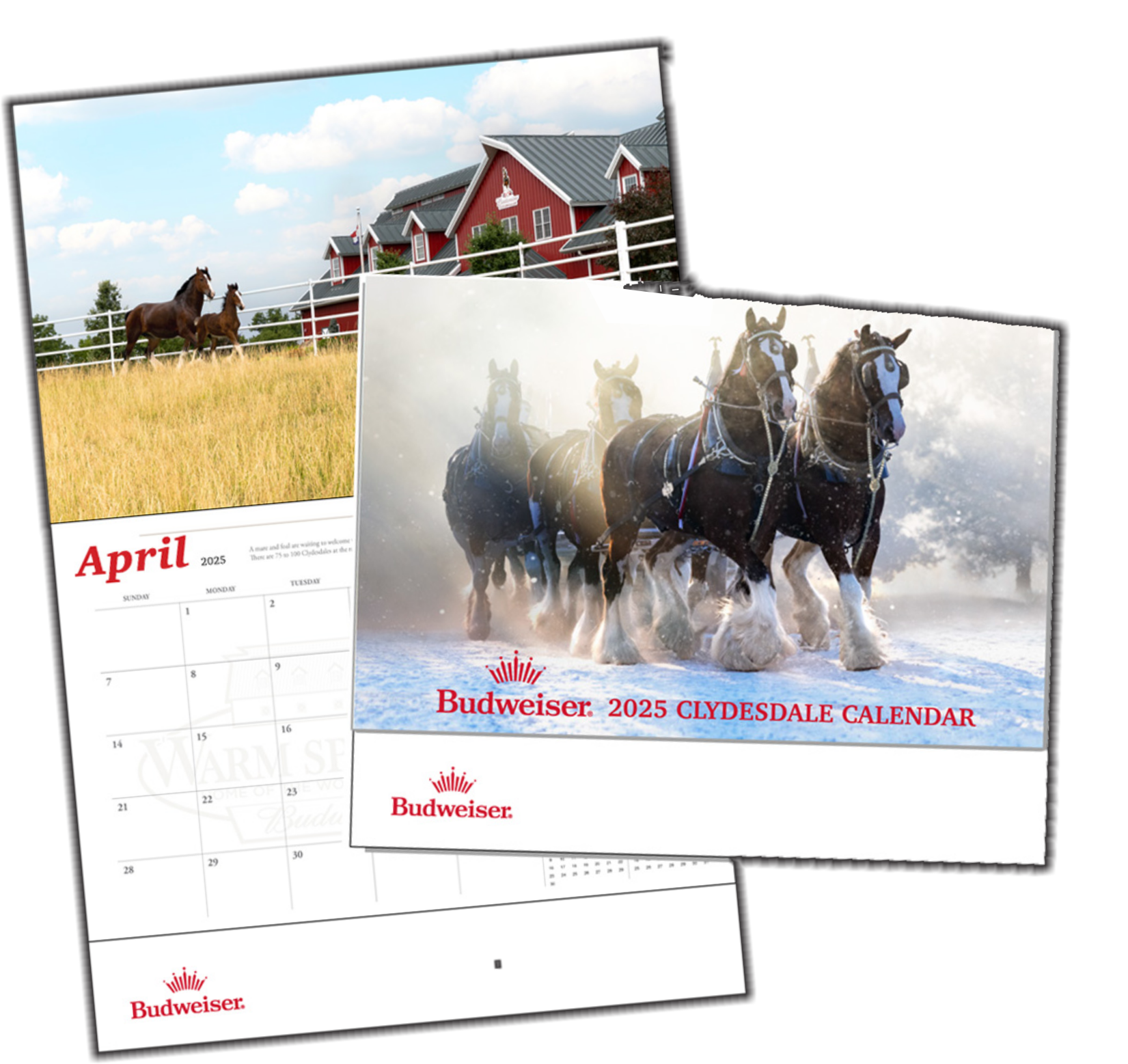 Budweiser Holiday 2025 Clydesdale Calendar EP Bud Store