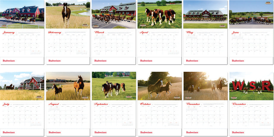Budweiser Holiday 2024 Clydesdale Calendar – EP Bud Store